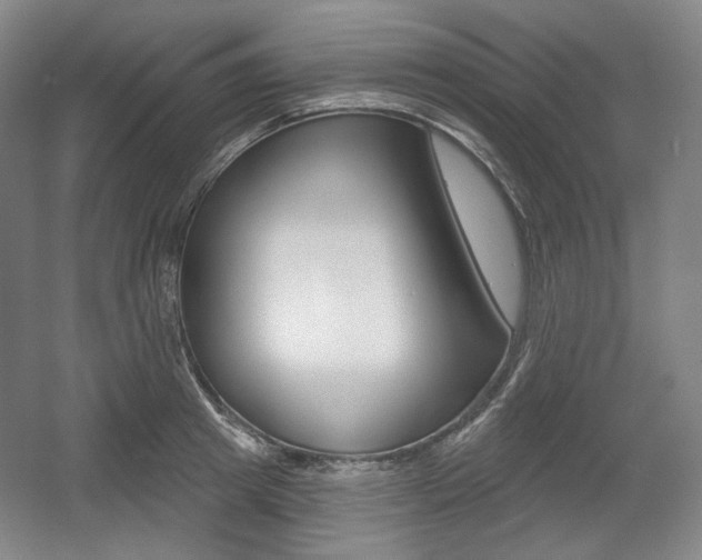 X0000055970849200508190701