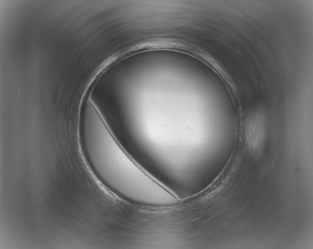 X0000055970853200508190701