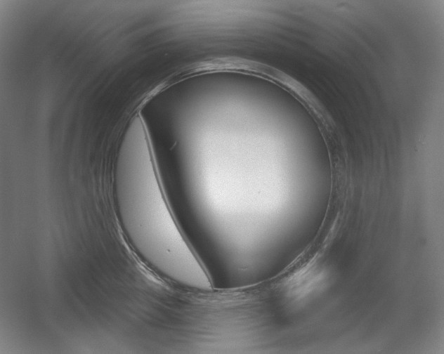 X0000055970857200508190701