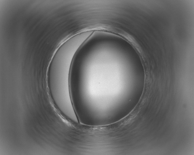 X0000055970858200508190701