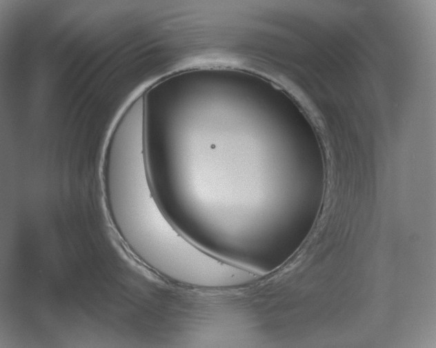 X0000055970864200508190701