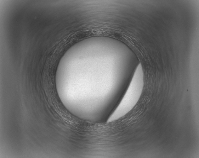 X0000055970865200508190701