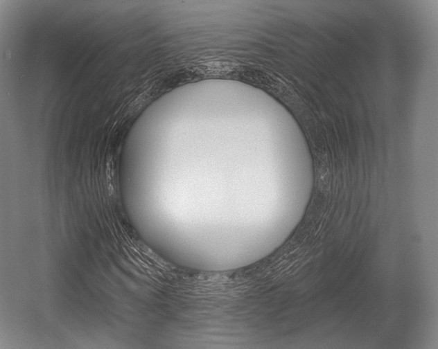 X0000055970866200508190701