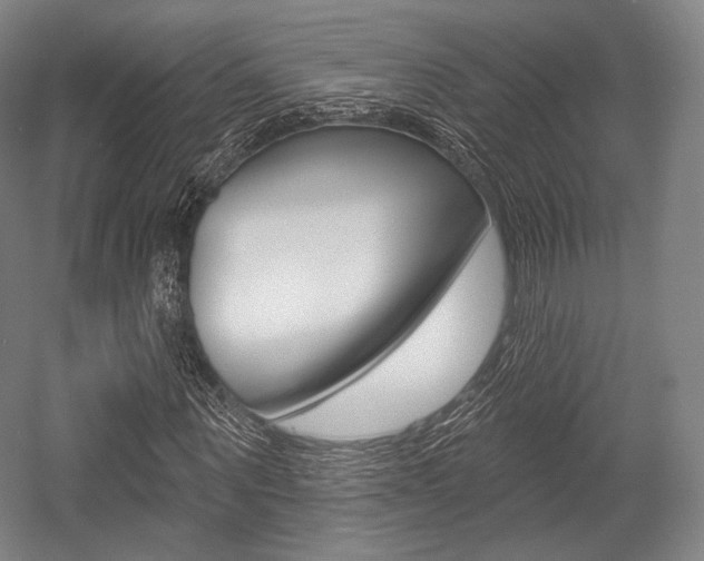 X0000055970867200508190701