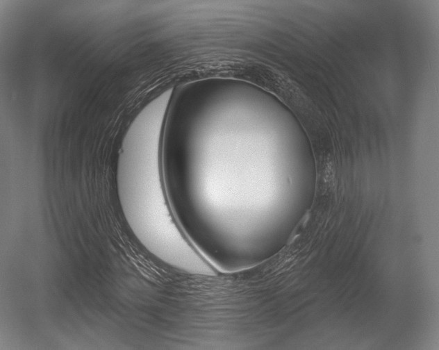 X0000055970868200508190701