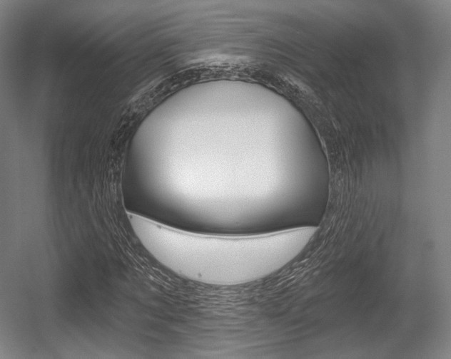 X0000055970869200508190701