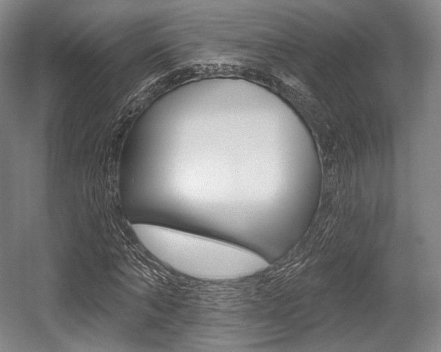 X0000055970870200508190701
