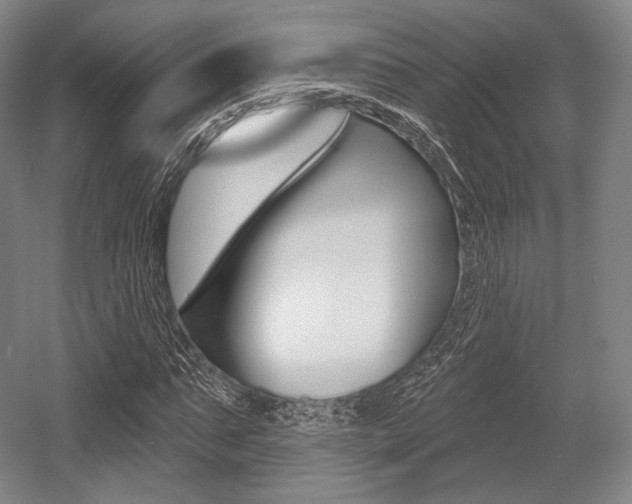 X0000055970871200508190701