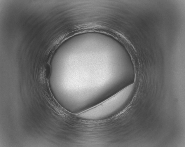 X0000055970873200508190700