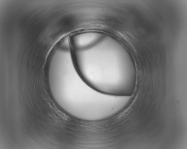 X0000055970875200508190700