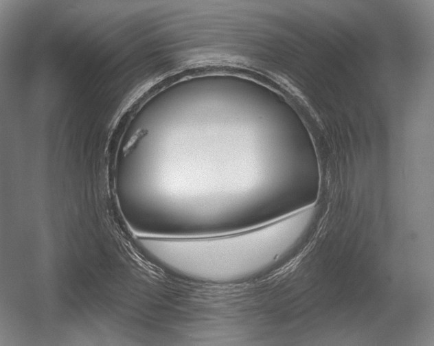 X0000055970877200508190700