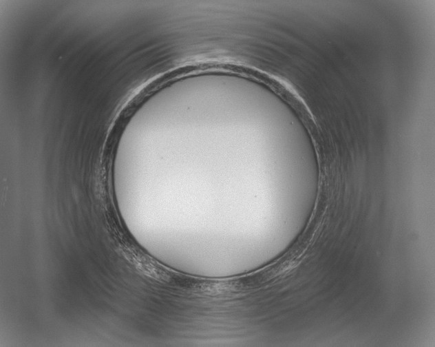 X0000055970879200508190700