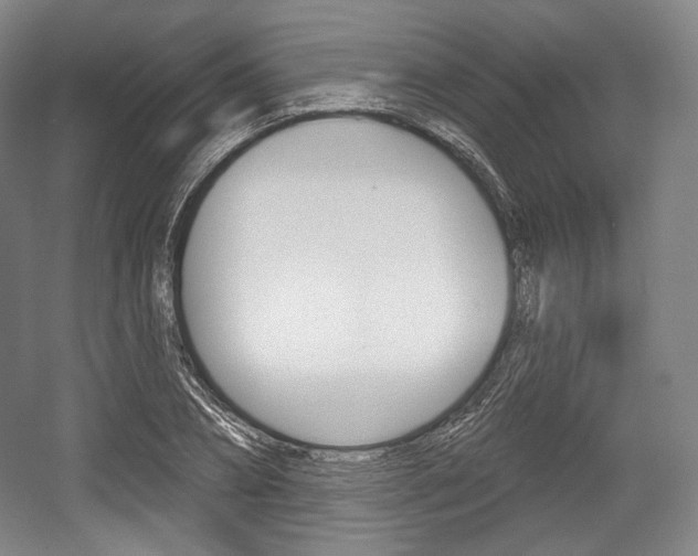 X0000055970882200508190700