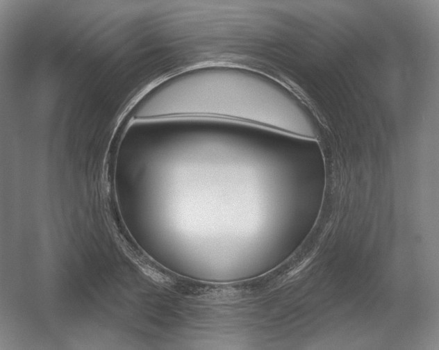 X0000055970885200508190700