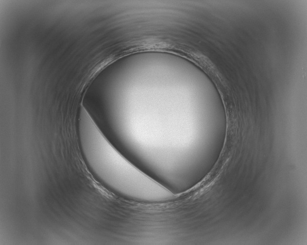 X0000055970889200508190700