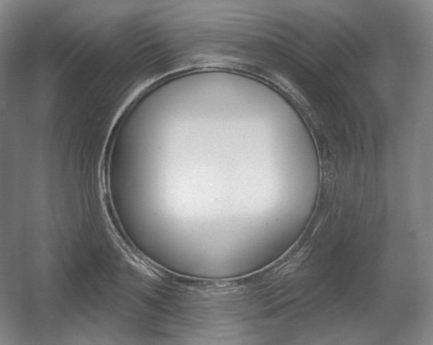 X0000055970891200508190700