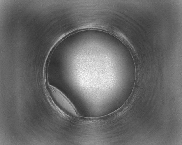 X0000055970892200508190700
