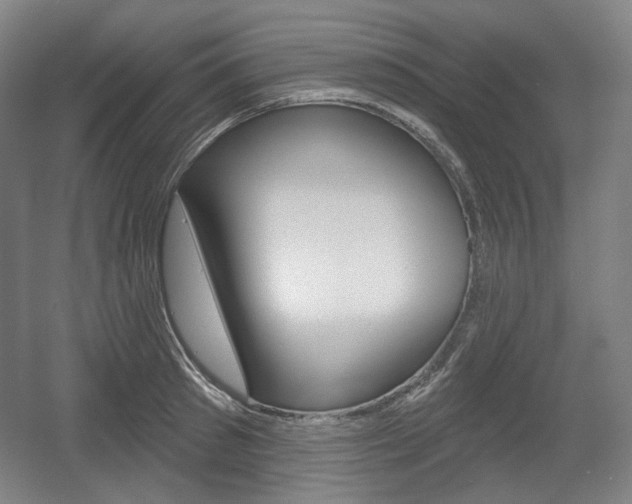X0000055970897200508190700