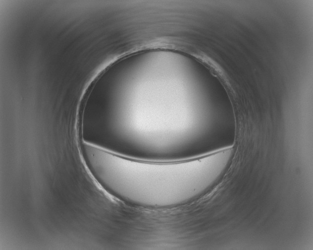 X0000055970902200508190700