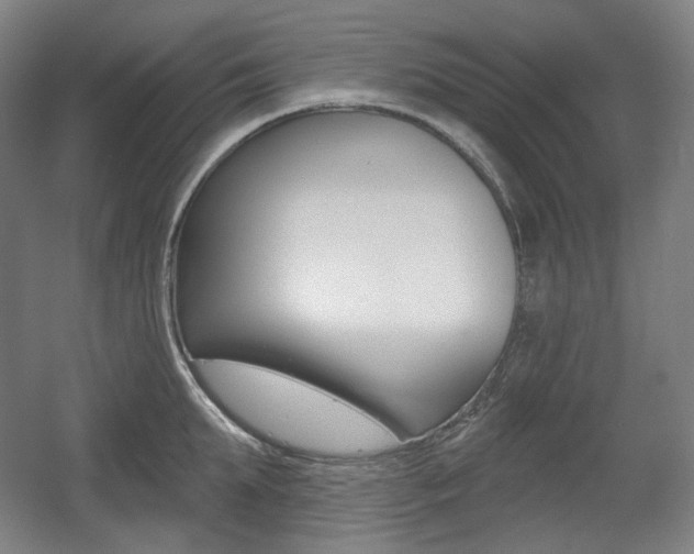 X0000055970903200508190700