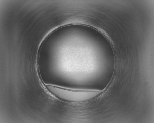 X0000055970904200508190700