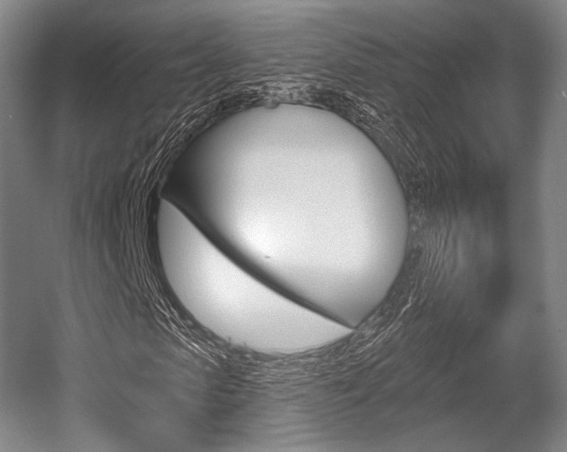 X0000055970913200508190659