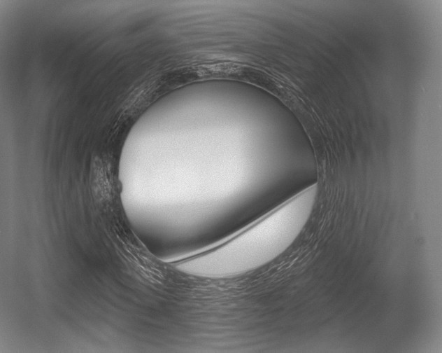 X0000055970915200508190659