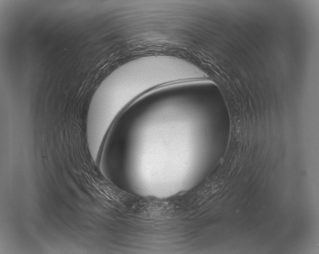 X0000055970916200508190659