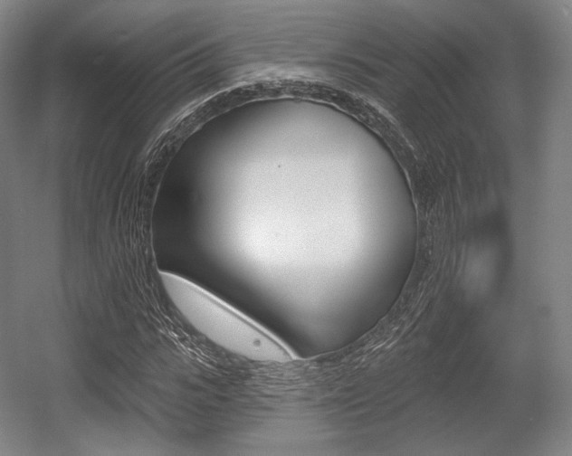 X0000055970919200508190659
