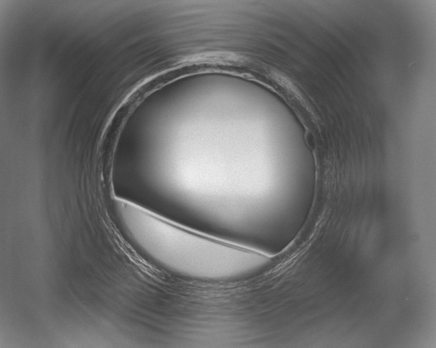 X0000055970923200508190659