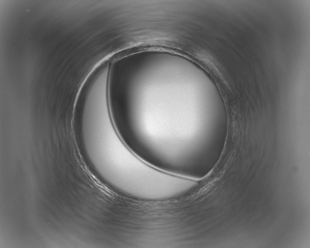 X0000055970924200508190659