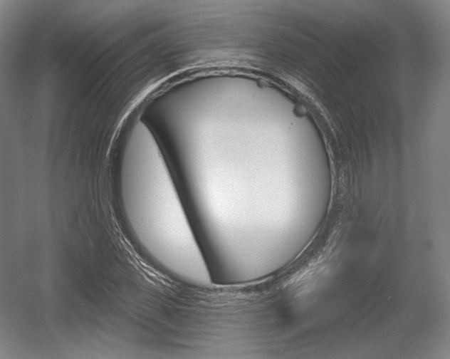 X0000055970925200508190659