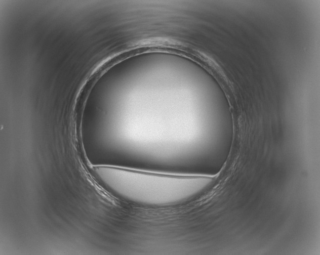 X0000055970931200508190659