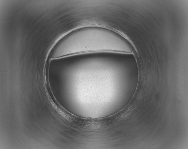 X0000055970935200508190659