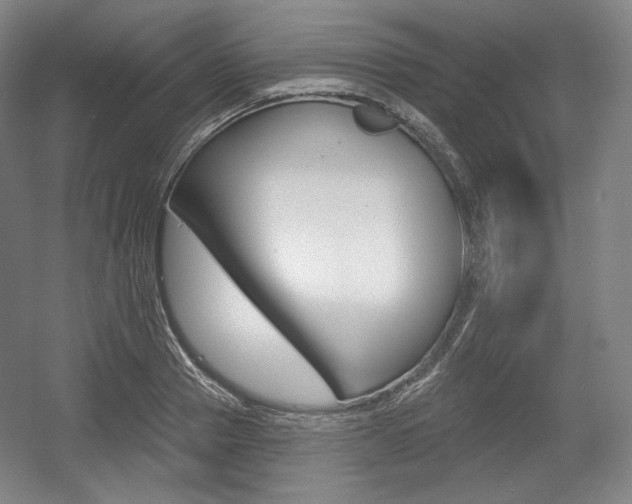 X0000055970937200508190659