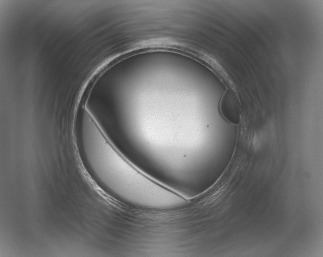 X0000055970939200508190659