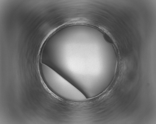 X0000055970941200508190659