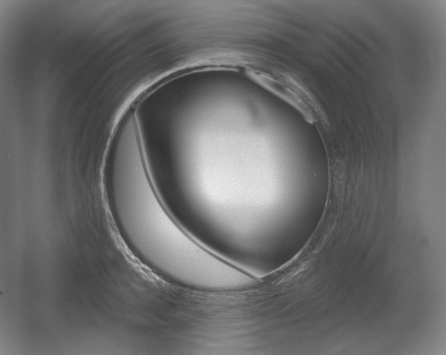 X0000055970944200508190700