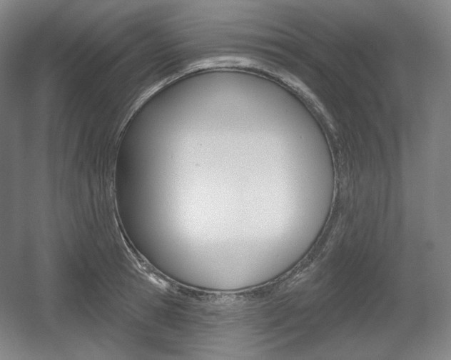 X0000055970945200508190700