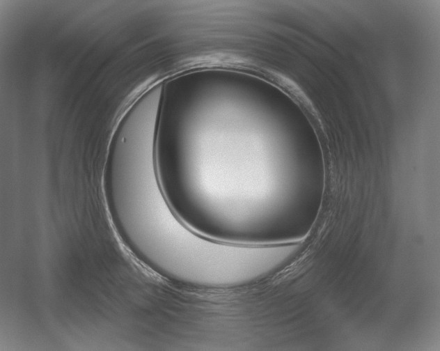 X0000055970946200508190700