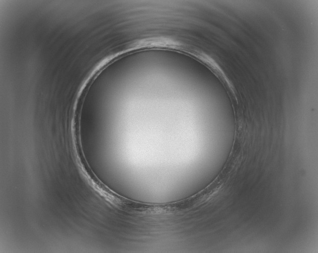 X0000055970947200508190700