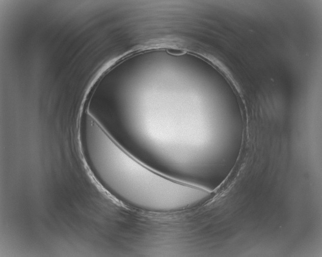 X0000055970949200508190700