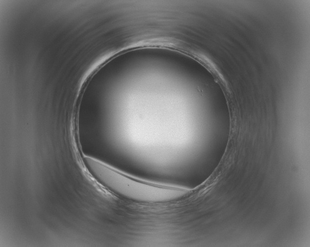 X0000055970952200508190700