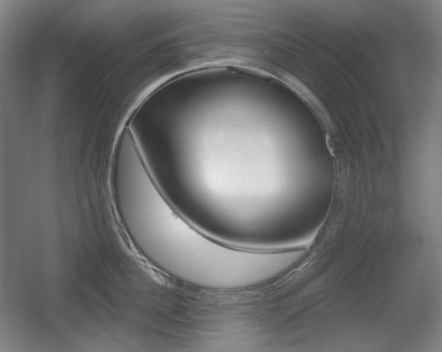 X0000055970956200508190700