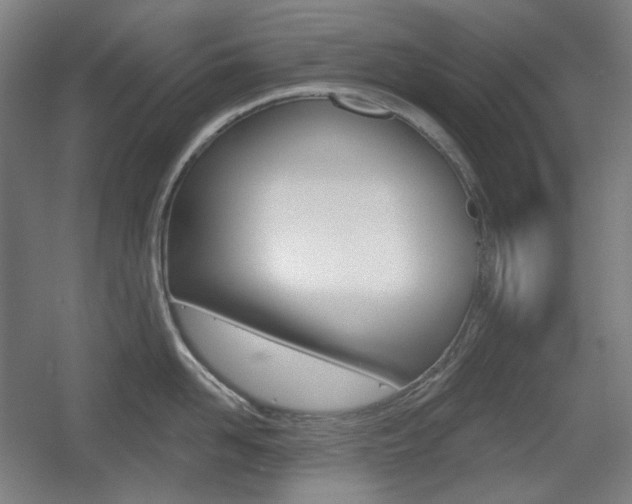 X0000055970958200508190700