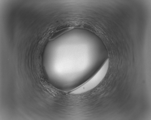 X0000055970961200508190659