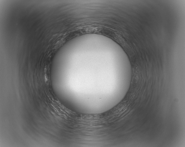 X0000055970962200508190659