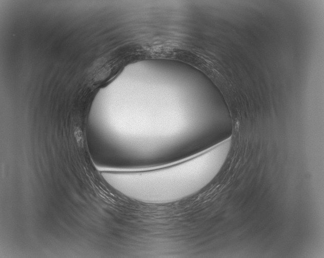 X0000055970963200508190659