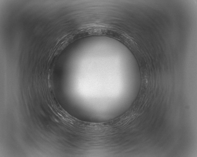 X0000055970964200508190659