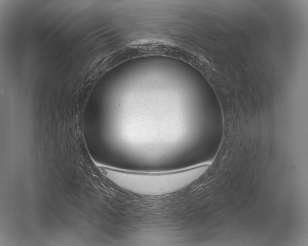 X0000055970965200508190659
